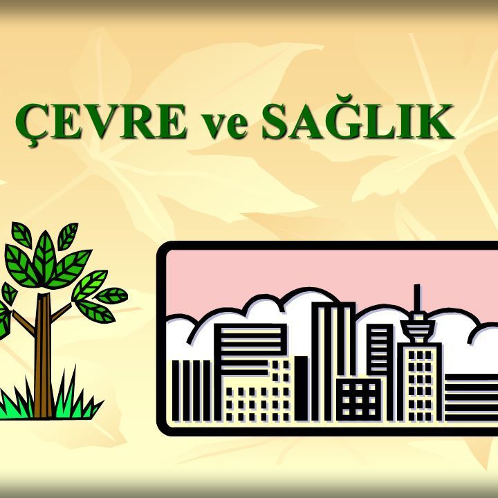 Şehir Çevre Sağlığı Ve Sağlık Hiz. Tan. Org. San. Tic. Ltd. Şti.