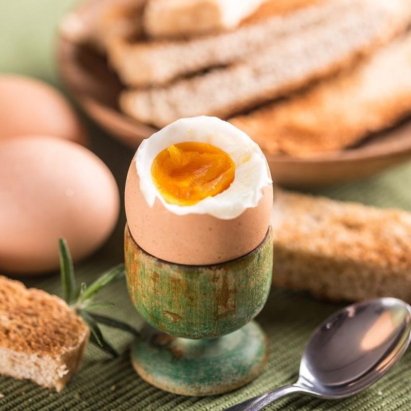 Çiftçilik Ve Hayvancılık